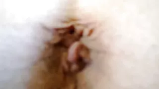 As raparigas despiram-se quero ver vídeo de sexo das brasileirinhas juntas atrás do balcão do bar