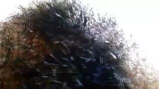 A cadela voltou do vídeo de pornô com brasileirinhas trabalho e masturbou sua buceta